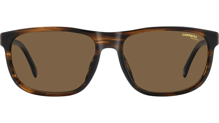 Carrera C FLEX 08/G/S EX4 SP Brown Horn Sunglasses
