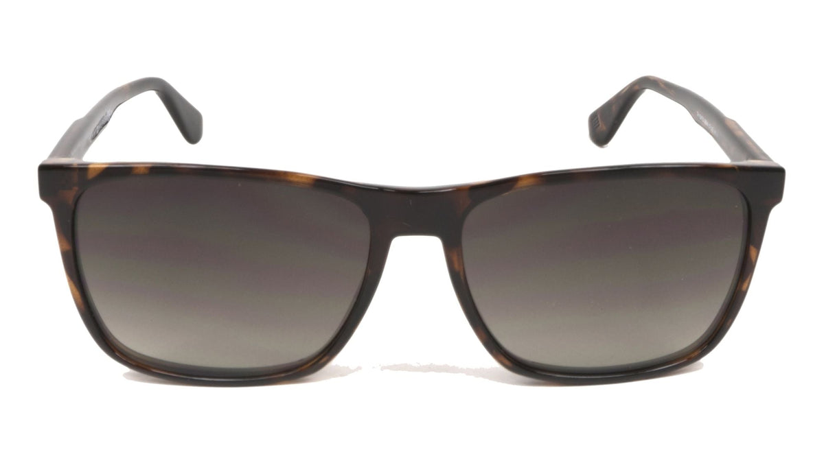 A pair of classic wayfarer-style sunglasses with a dark brown tortoiseshell acetate frame and dark gray gradient lenses, shown against a plain white background.
