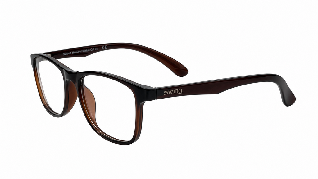 A pair of Swig eyeglasses with a black and dark brown acetate frame, shown from a three-quarters angle on a plain white background.